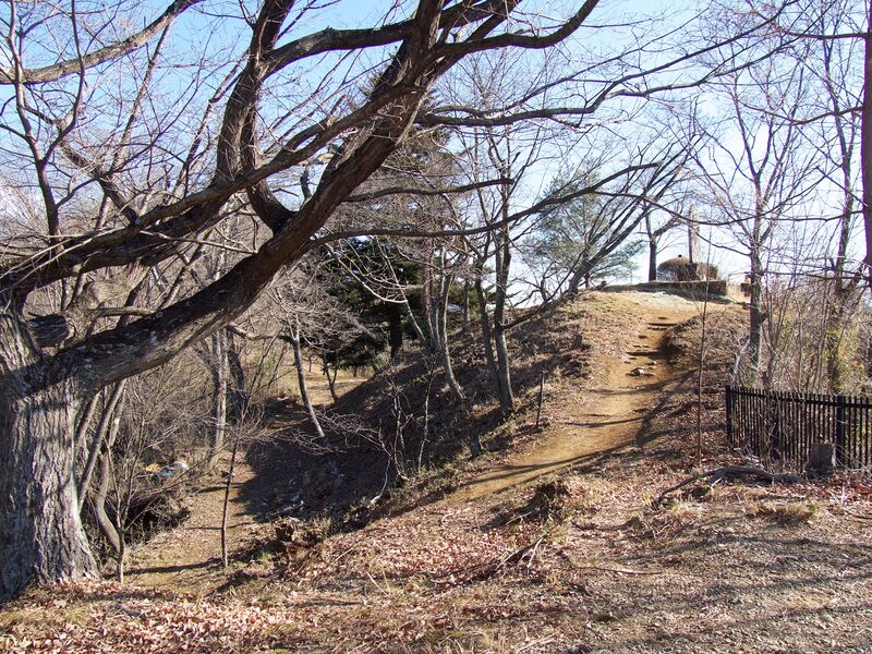 File:Iwadono34.jpg