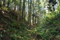 Karasuyama25.jpg