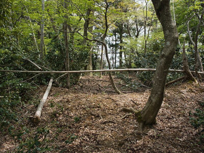 File:Kashiwadaniyama7.jpg