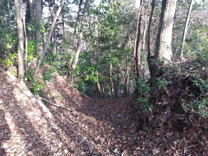 File:MusashiTobukijou (3).jpg