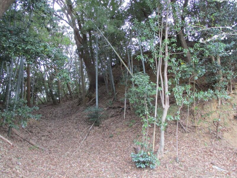 File:Sakujou052.jpg