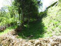 SakurazakaueToride (4).JPG