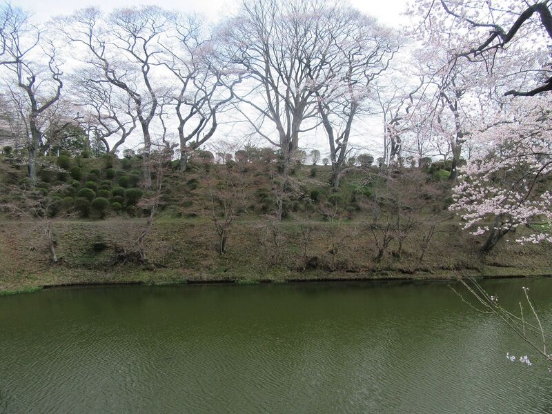 File:Tanagura6.jpg