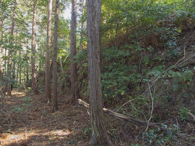File:Tedori3.jpg