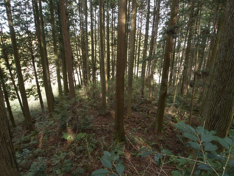 File:Wadashi1koka11.jpg