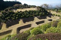 Yamanaka32.jpg