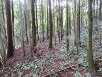 ChikuzenSakatajou (19).JPG