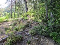 Futsukamachijou (36).jpg