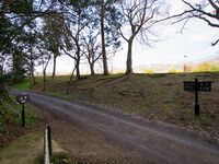 Hikone89.jpg