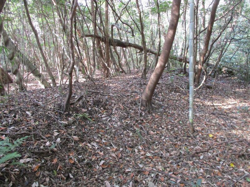 File:Hobonishijou006.jpg