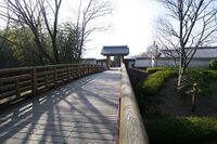Ikeda9.jpg