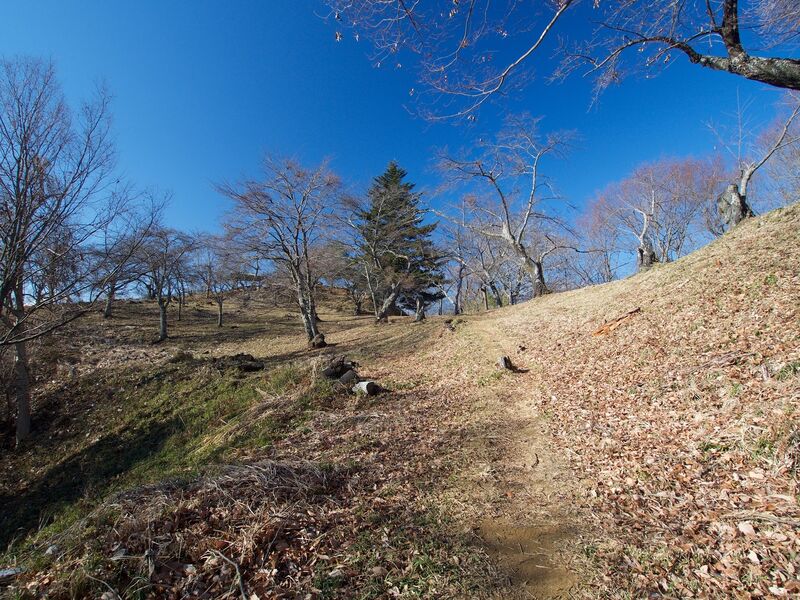 File:Iwadono20.jpg