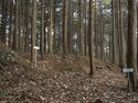 Koideyakatakyoto3.jpg