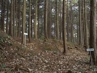 Koideyakatakyoto3.jpg