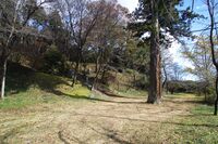 Matsuyamagunma1.jpg