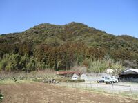 MikawaTakiyamajou (1).jpg