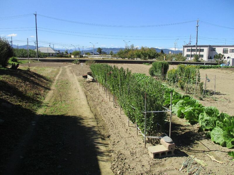 File:SarashinaMizusawaYashiki (1).jpg