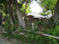 UewadaToride (9).jpg
