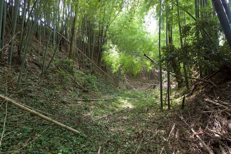 File:Ushiku17.jpg