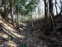 Yamana18.jpg