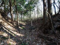 Yamana18.jpg