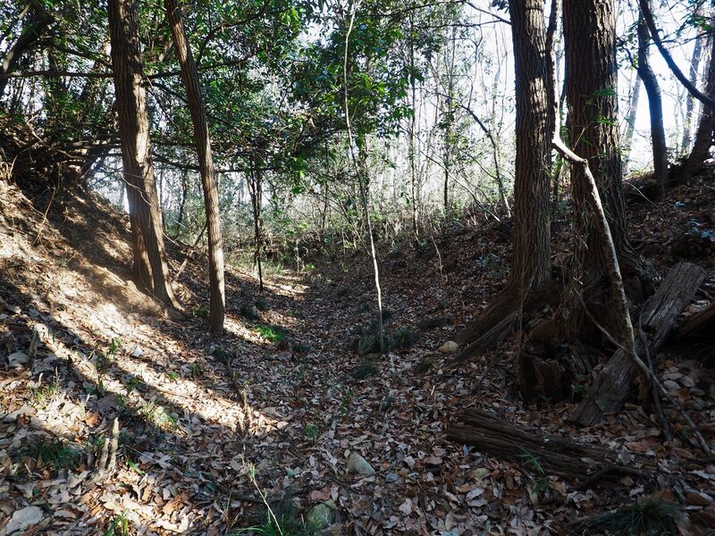 File:Yamana18.jpg