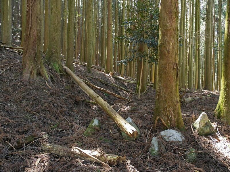 File:Ayukawa7.jpg