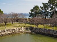 Hagicastle48.jpg
