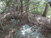 MikawaNoguchijou003.jpg