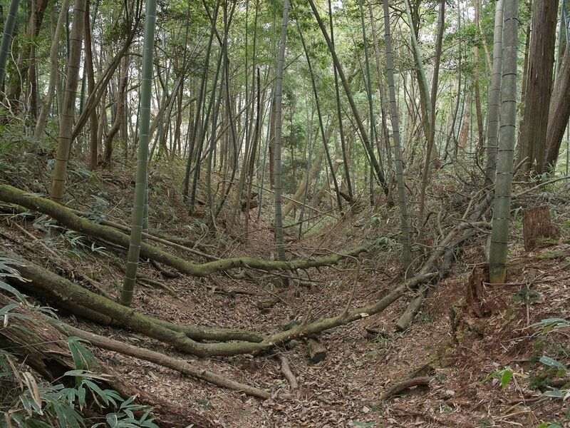 File:Ogawanishinokoka19.jpg