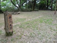 Shiratori7.jpg