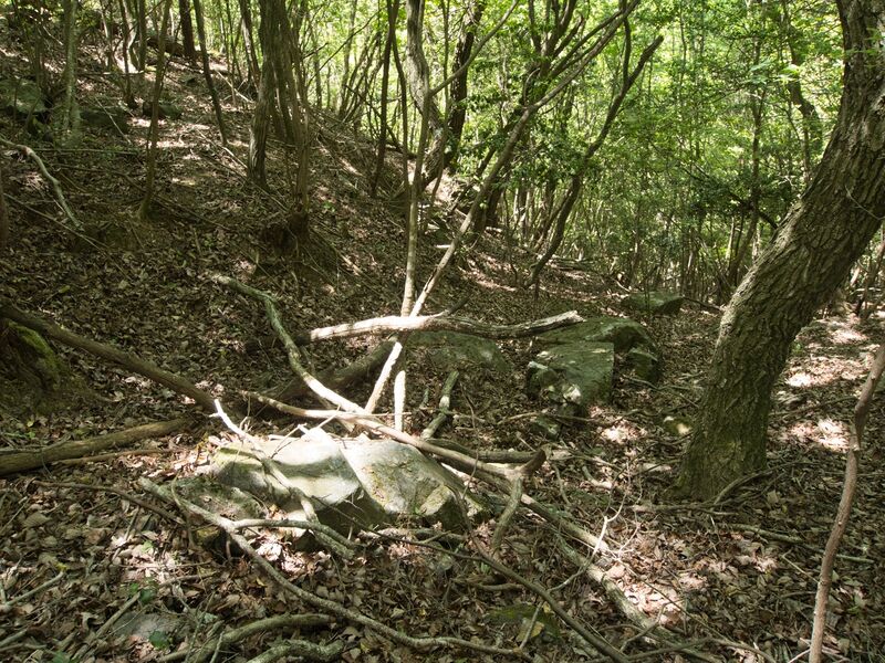 File:Yagitanba54.jpg