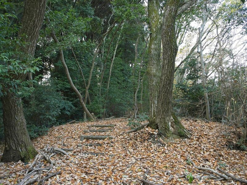 File:Eboshigata37.jpg