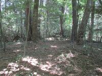 InaKoujinyamajou (18).JPG