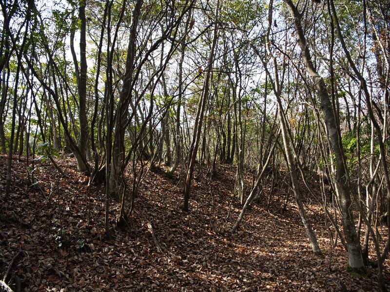 File:Inokurakyoto14.jpg