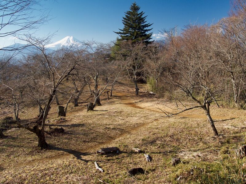 File:Iwadono23.jpg
