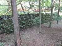 KaiYamanakaYakata (17).JPG