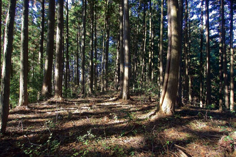 File:Karakai15.jpg