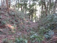 MinamiSakaidejou (10).JPG
