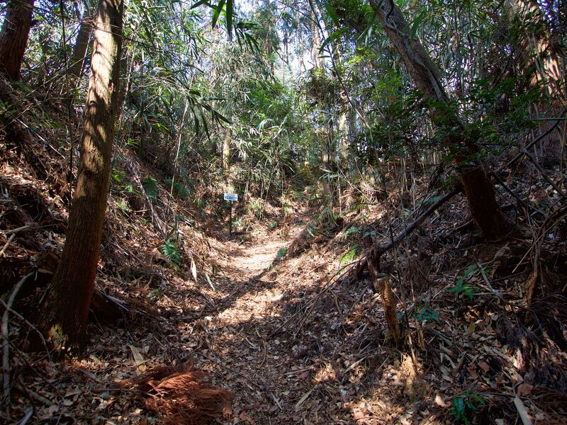File:Nishikata2.jpg
