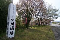 Ogawa1.jpg
