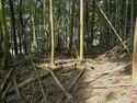 Ogawanakanokoka25.jpg