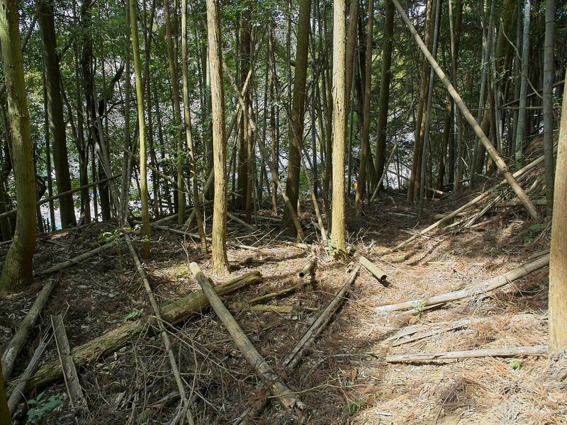 File:Ogawanakanokoka25.jpg