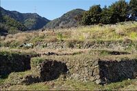 Ojima24.jpg