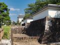 Thumbnail for version as of 14:00, 23 July 2020