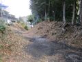 Thumbnail for version as of 15:19, 12 February 2025