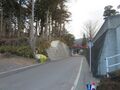 Thumbnail for version as of 19:00, 28 January 2020