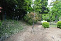 Gion2.jpg