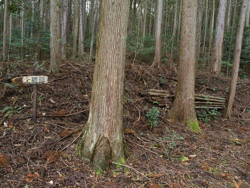 File:Habukyoto38.jpg