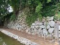 Himejimiddlemoat10.jpg